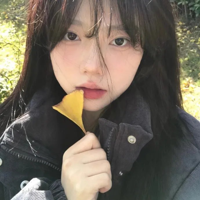 以我的名义封面